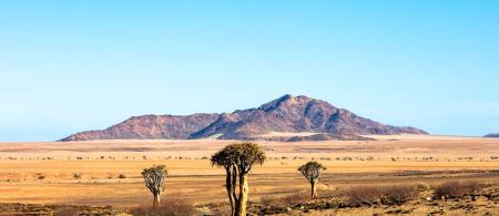 A desert plain with three trees and amountain