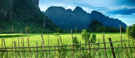 Green rice paddy field and limestone mountains with sunlight in Vang Vieng, Laos